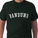 Kaos oblong